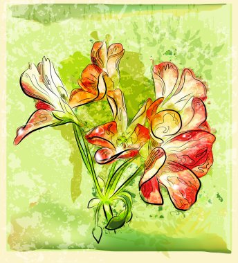 Hand drawn red geranium flower clipart