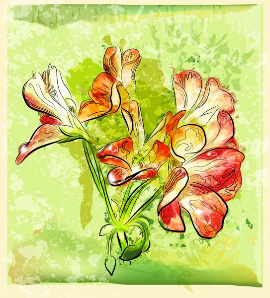 Ručně Tažené Červené Pelargónie Květ — Stockový vektor