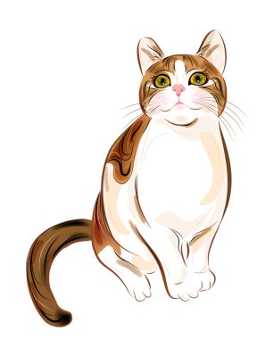 Hand drawn portrait of ginger tabby cat clipart