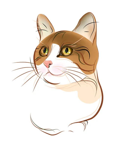 Hand Drawn Portrait Ginger Tabby Cat — Stock Vector