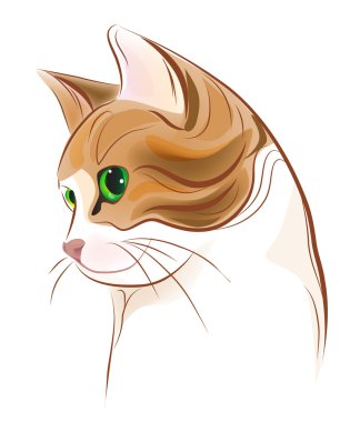 Hand drawn portrait of ginger tabby cat clipart