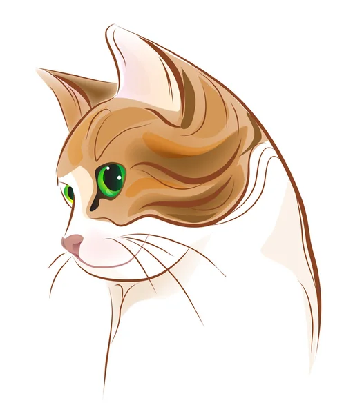 Hand Drawn Portrait Ginger Tabby Cat — Stock Vector