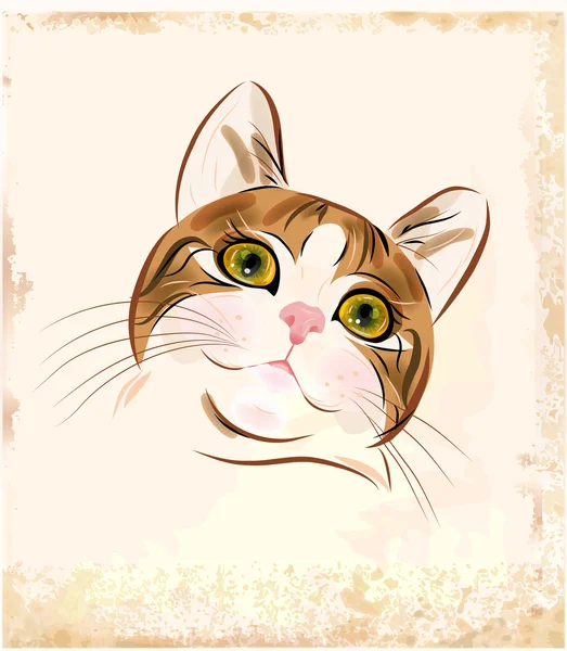 Vinobraní Portrét Zázvoru Tabby Cat — Stockový vektor