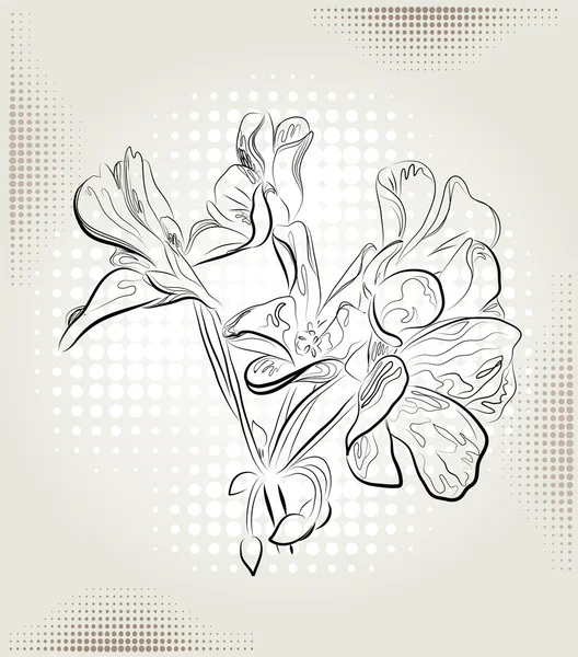 Flores de gerânio no fundo abstrato — Vetor de Stock
