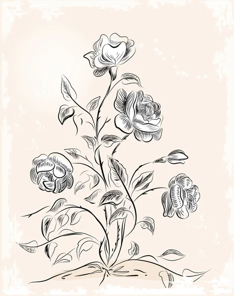 老式贺卡与玫瑰 — 图库矢量图片
