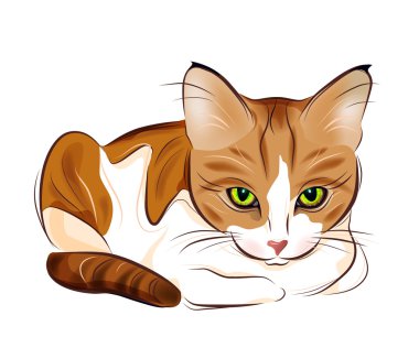 Hand drawn portrait of ginger tabby cat clipart