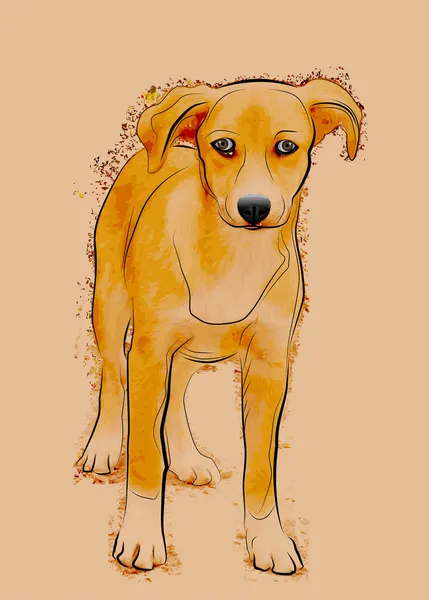 Портрет безпритульного бродячого собаки — стоковий вектор