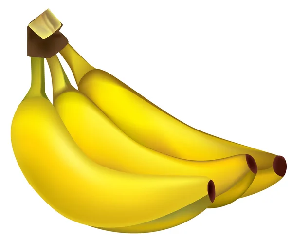 Massa bananer — Stock vektor