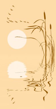 Drawing flock geese on bulrush clipart