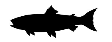 Vector silhouette of fish on white background clipart