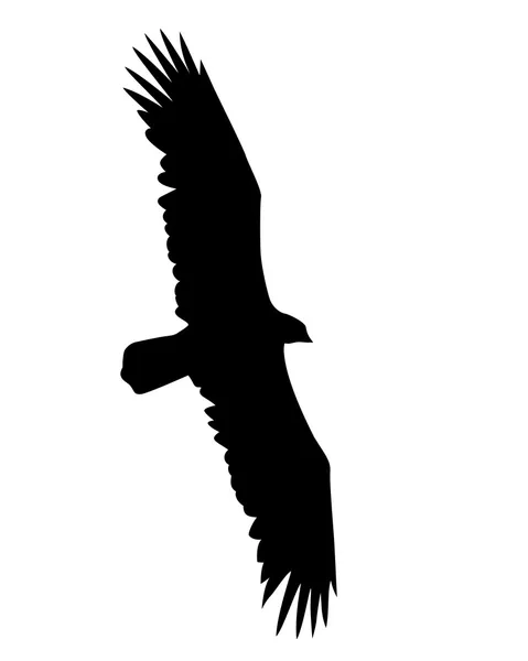 Ilustración vectorial aves voladoras sobre fondo blanco — Vector de stock