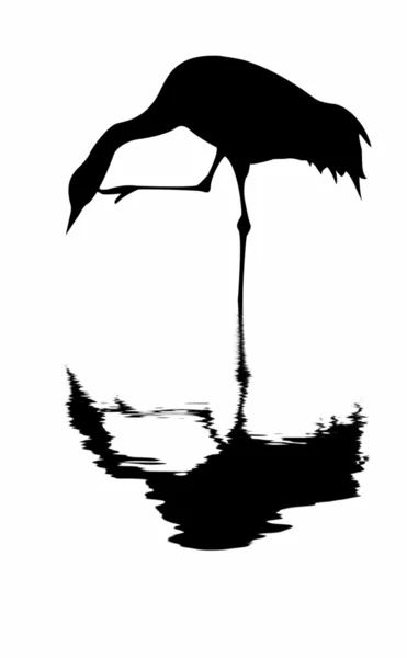 Vektorsilhouette des Krans auf weißem Hintergrund — Stockvektor