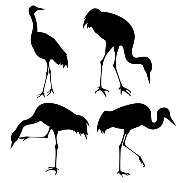 Vector silhouette of the cranes on white background — Stock Vector