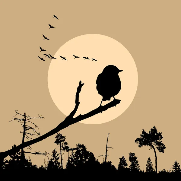 Векторні ілюстрації птаха на гілці — стоковий вектор