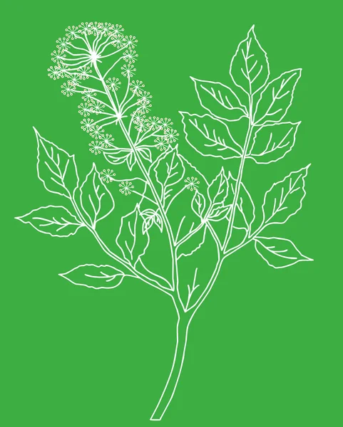 矢量轮廓的植物在绿色背景 — 图库矢量图片