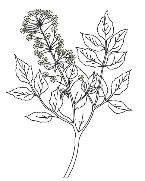Vektorsilhouette der Pflanze auf grünem Hintergrund — Stockvektor