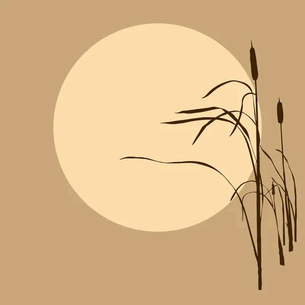 背景太阳上芦苇 — 图库矢量图片