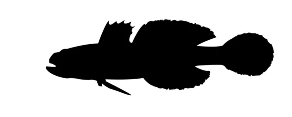 Vektorsilhouette des Fisches auf weißem Hintergrund — Stockvektor