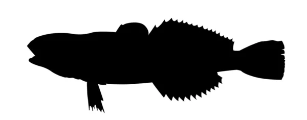 Silhouette vettoriale del pesce su sfondo bianco — Vettoriale Stock