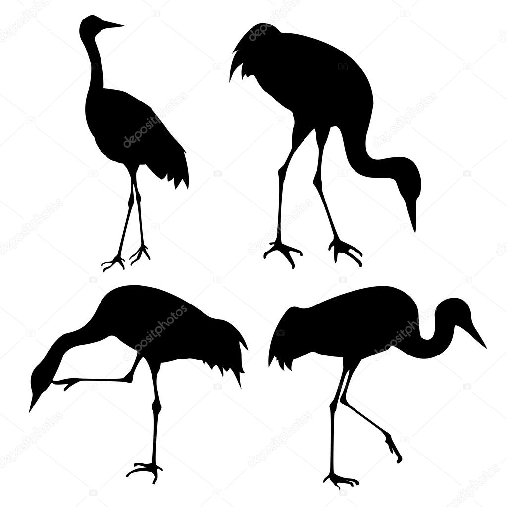 Vector silhouette of the cranes on white background — Stock Vector ...