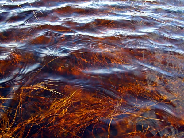 川の波 — ストック写真