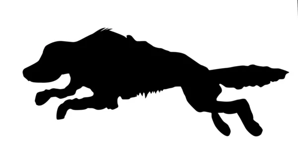 Silhouette vectorielle du chien qui court sur fond blanc — Image vectorielle