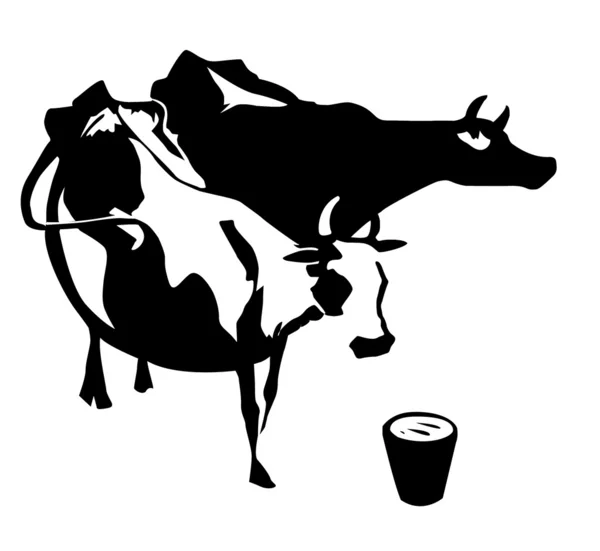 Silhouette two cows on white background — Stock Vector