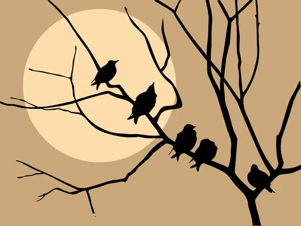 Ilustración migrando estornino en árbol de ramas — Vector de stock