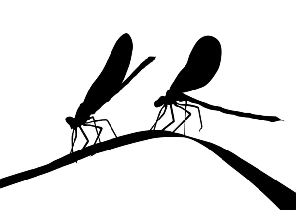 剪影草本上的两个蜻蜓 — 图库矢量图片