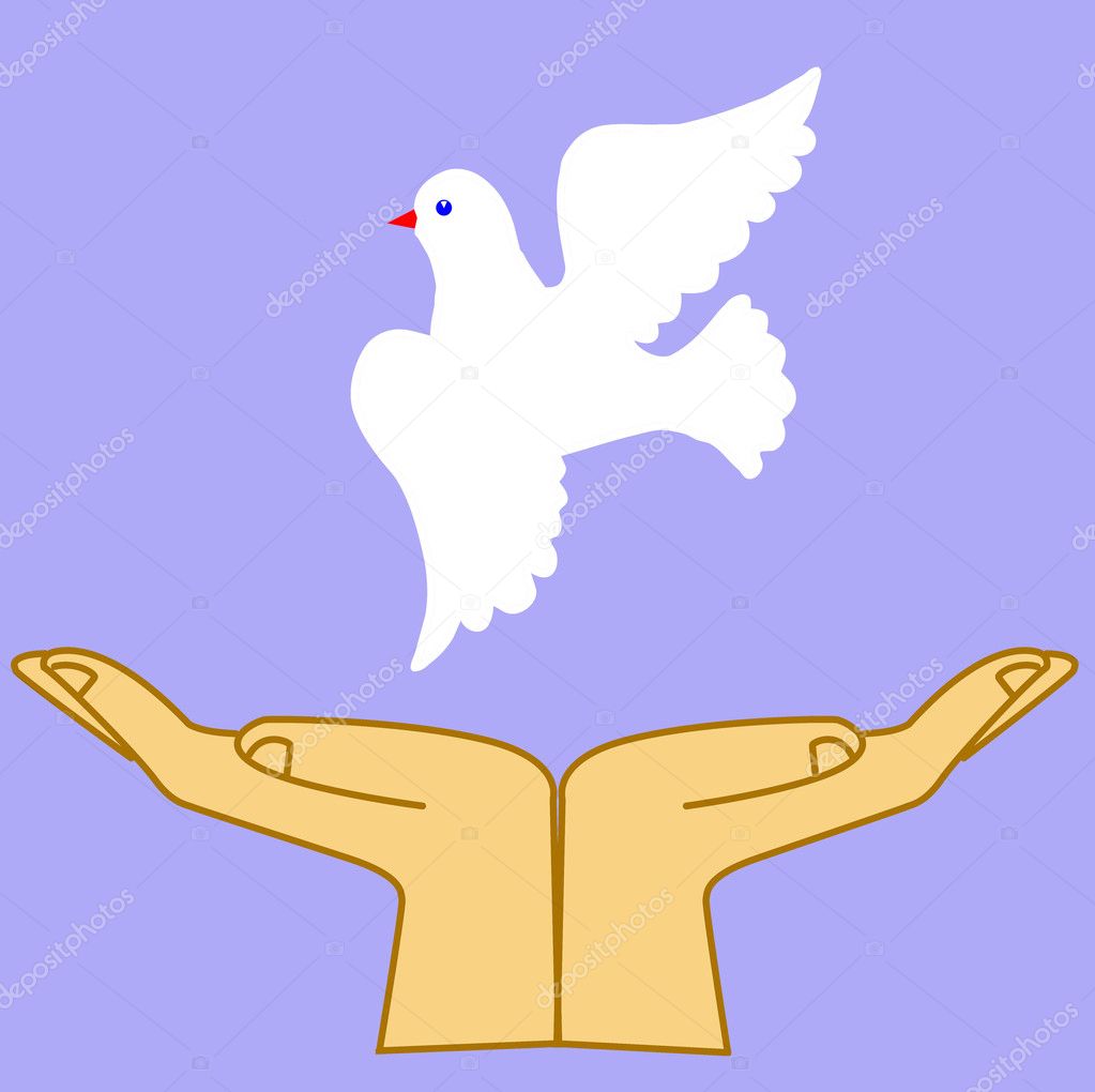 Vector illustration of the dove in hand