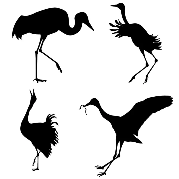 Silhouettes of the cranes on white background — Stock Vector