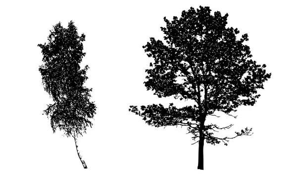 Árvore silhuetas vetoriais no fundo branco — Vetor de Stock