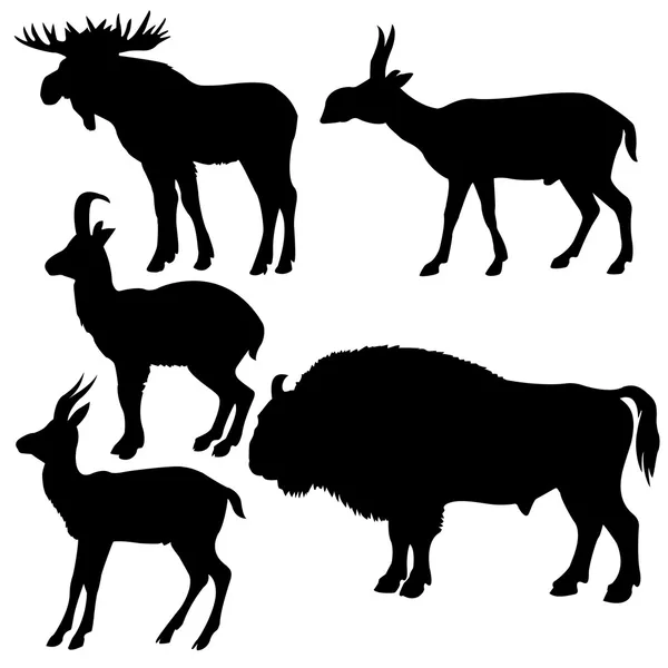Silhouettes of the wildlifes on white background — Stock Vector