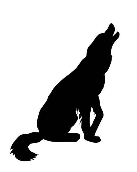Ilustración del perro errante sobre fondo blanco — Vector de stock