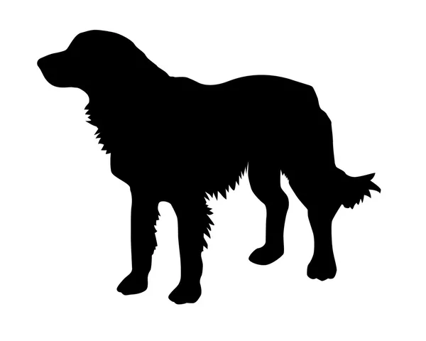 Illustration of the rambling dog on white background — Stock Vector
