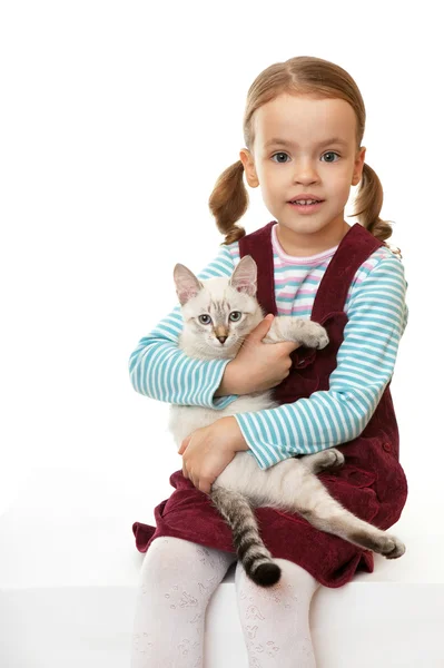 Beautiful little girl with a kitten. — Stock Photo, Image