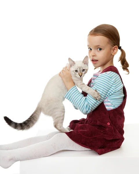 Vacker liten flicka med en kattunge. — Stockfoto