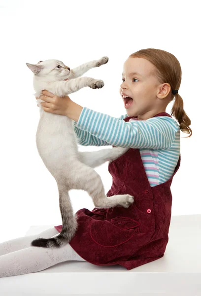 Beautiful little girl with a kitten. — Stock Photo, Image