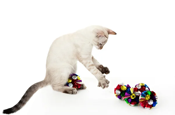 Kätzchen spielt mit Weihnachtsschmuck. — Stockfoto