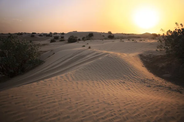 stock image Sunset in the desert.