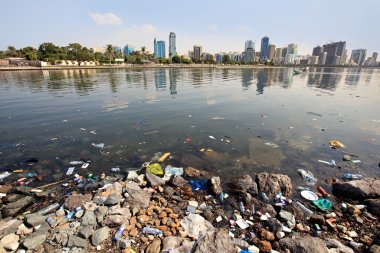 Environmental pollution. Sharjah Creek. UAE.