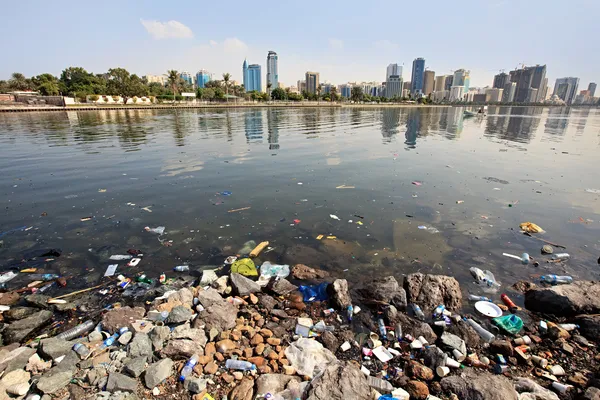 Contaminación Ambiental Sharjah Creek Eau Imagen de stock