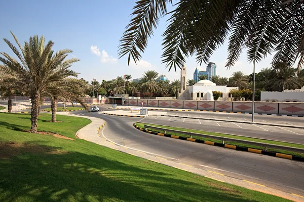 Парк Аль-Джазіра у місті Шарджа. — стокове фото