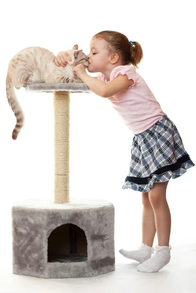 Klein meisje kussen haar kat. — Stockfoto