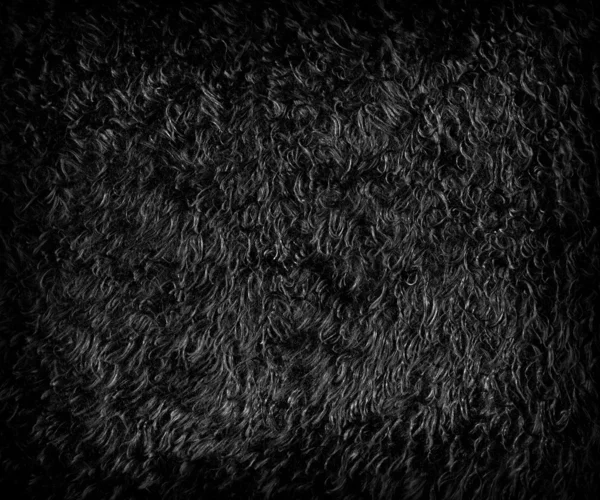 Artificia darkl 毛皮の背景 — ストック写真