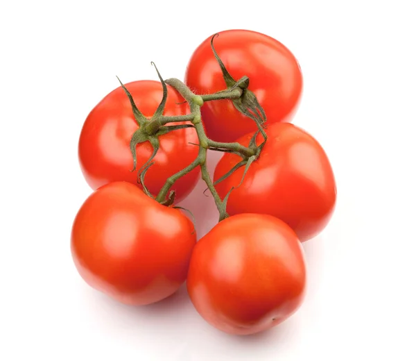 Branch of fresh tomatoes — Stock Photo, Image