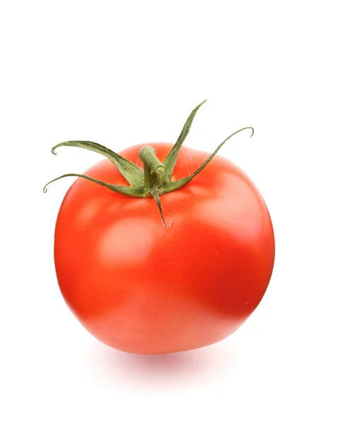 Блестящий спелый помидор — стоковое фото
