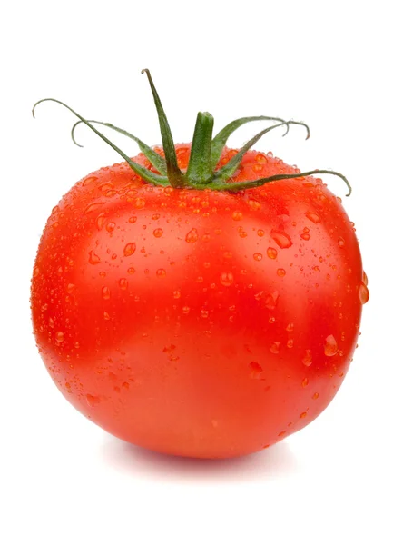 Świeże pomidory z kroplami wody — Zdjęcie stockowe