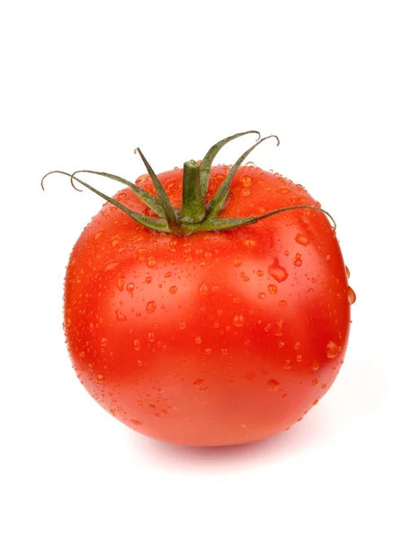 Świeże pomidory z kroplami wody — Zdjęcie stockowe