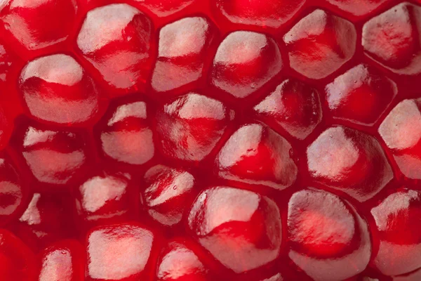 Rode granaatappel textuur — Stockfoto